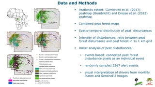 An assessment of peat forest disturbances and their drivers in the ...