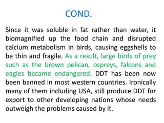 COND.
Since it was soluble in fat rather than water, it
biomagnified up the food chain and disrupted
calcium metabolism in birds, causing eggshells to
be thin and fragile. As a result, large birds of prey
such as the brown pelican, ospreys, falcons and
eagles became endangered. DDT has been now
been banned in most western countries. Ironically
many of them including USA, still produce DDT for
export to other developing nations whose needs
outweigh the problems caused by it.
 