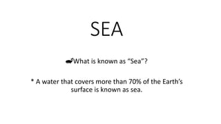 SEA
🐋What is known as “Sea”?
* A water that covers more than 70% of the Earth’s
surface is known as sea.
 