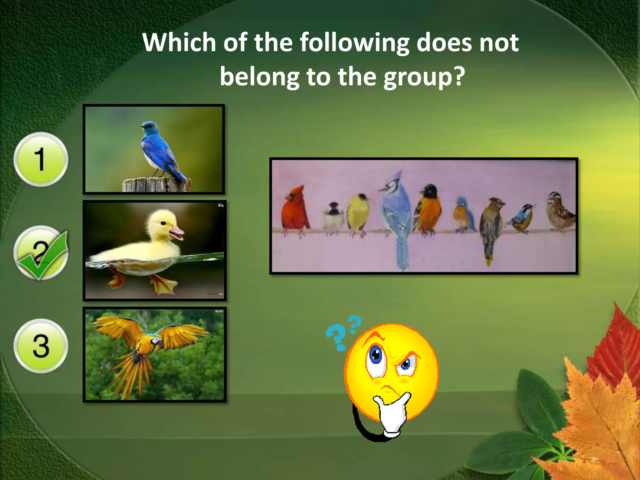 Which of the following does not
     belong to the group?
 