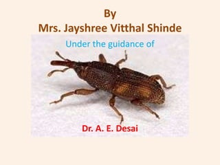 By
Mrs. Jayshree Vitthal Shinde
     Under the guidance of




        Dr. A. E. Desai
 