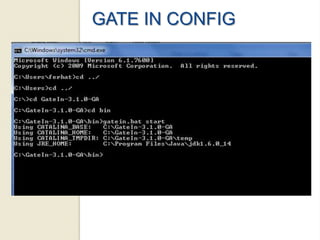 GATE IN CONFIG
 