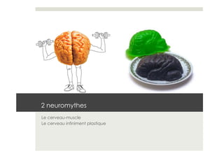 2 neuromythes
Le cerveau-muscle
Le cerveau infiniment plastique
 