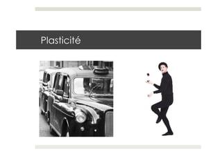 Plasticité
 