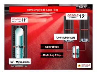 Quick Start Guide 
JJJJooooeeeellll PPPPéééérrrreeeezzzz 
Removing Redo Logs Files 
PROD 
/u01/ MyBackups 
/u01/MyBackups 
Controlfiles 
Redo Log Files PROD 
 