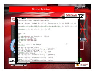 Quick Start Guide 
JJJJooooeeeellll PPPPéééérrrreeeezzzz 
Restore Database 
PROD 
/u01/ MyBackups 
/u01/MyBackups 
PROD 
Mount 
RMAN 
Restore Database 
Rolling in Progress… 
 