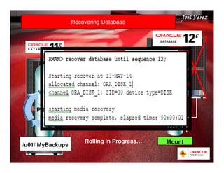 Quick Start Guide 
JJJJooooeeeellll PPPPéééérrrreeeezzzz 
Recovering Database 
PROD 
/u01/ MyBackups 
/u01/MyBackups 
PROD 
Mount 
RMAN 
Recovering Database 
Rolling in Progress… 
 