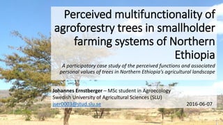 Perceived multifunctionality of
agroforestry trees in smallholder
farming systems of Northern
Ethiopia
A participatory case study of the perceived functions and associated
personal values of trees in Northern Ethiopia’s agricultural landscape
Johannes Ernstberger – MSc student in Agroecology
Swedish University of Agricultural Sciences (SLU)
jser0003@stud.slu.se 2016-06-07
 