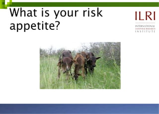 What is your risk appetite? 
