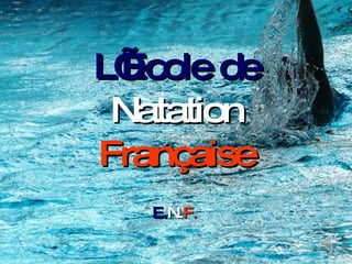 L’Ecole de   Natation   Française E. N. F. 