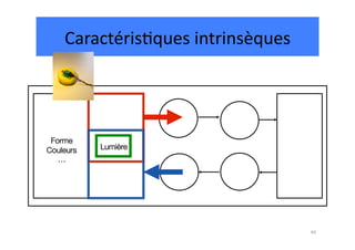 Caractéris.ques	
  intrinsèques	
  




 Forme
Couleurs
   Lumière
   …




                                           44	
  
 