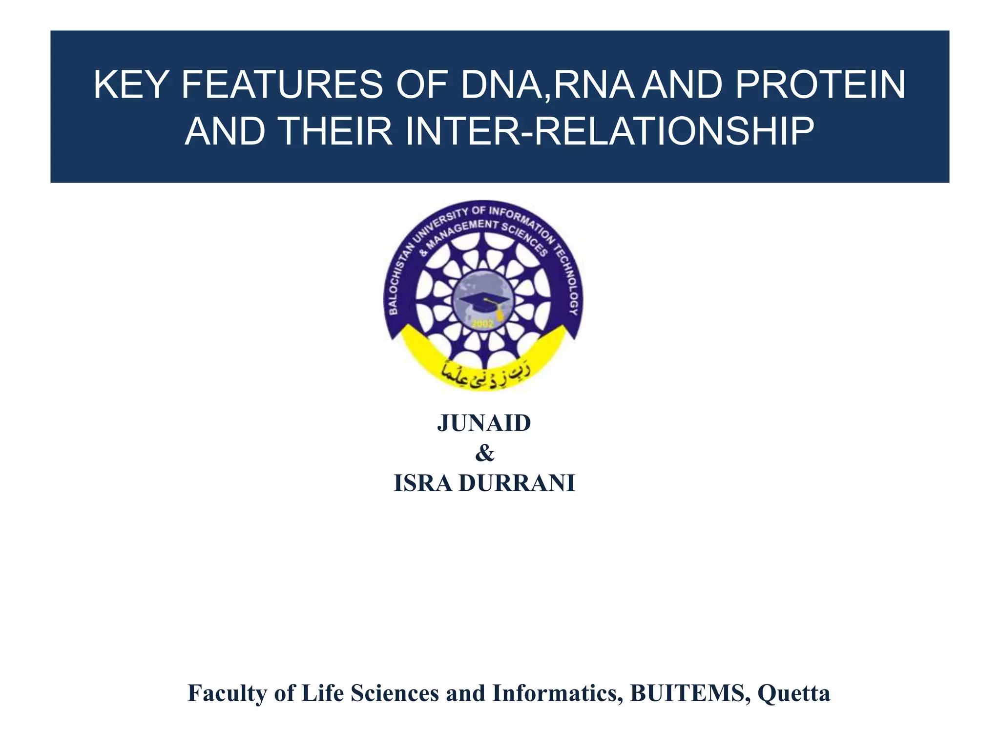 DNA RNA PROTEIN Central Dogma | PPTX