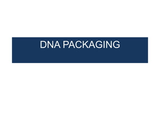 DNA PACKAGING
 