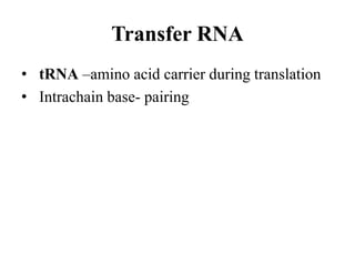 Transfer RNA
• tRNA –amino acid carrier during translation
• Intrachain base- pairing
 