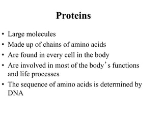 Proteins
• Large molecules
• Made up of chains of amino acids
• Are found in every cell in the body
• Are involved in most of the body’s functions
and life processes
• The sequence of amino acids is determined by
DNA
 