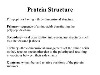 Protein Structure
Polypeptides having a three dimensional structure.
Primary–sequence of amino acids constituting the
polypeptide chain
Secondary–local organization into secondary structures such
as  helices and  sheets
Tertiary –three dimensional arrangements of the amino acids
as they react to one another due to the polarity and resulting
interactions between their side chains
Quaternary–number and relative positions of the protein
subunits
 