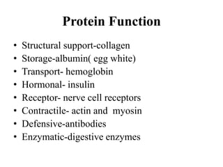 Protein Function
• Structural support-collagen
• Storage-albumin( egg white)
• Transport- hemoglobin
• Hormonal- insulin
• Receptor- nerve cell receptors
• Contractile- actin and myosin
• Defensive-antibodies
• Enzymatic-digestive enzymes
 