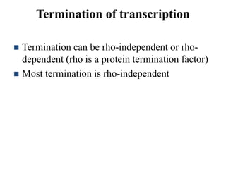 Termination of transcription
 Termination can be rho-independent or rho-
dependent (rho is a protein termination factor)
 Most termination is rho-independent
 