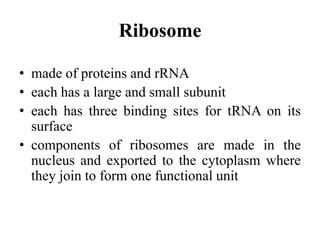 Ribosome
• made of proteins and rRNA
• each has a large and small subunit
• each has three binding sites for tRNA on its
surface
• components of ribosomes are made in the
nucleus and exported to the cytoplasm where
they join to form one functional unit
 