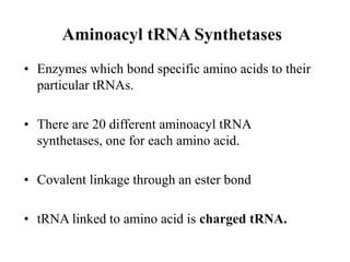 Aminoacyl tRNA Synthetases
• Enzymes which bond specific amino acids to their
particular tRNAs.
• There are 20 different aminoacyl tRNA
synthetases, one for each amino acid.
• Covalent linkage through an ester bond
• tRNA linked to amino acid is charged tRNA.
 