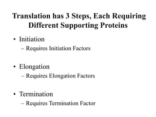 Translation has 3 Steps, Each Requiring
Different Supporting Proteins
• Initiation
– Requires Initiation Factors
• Elongation
– Requires Elongation Factors
• Termination
– Requires Termination Factor
 