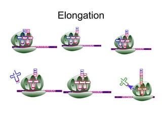 Elongation
 