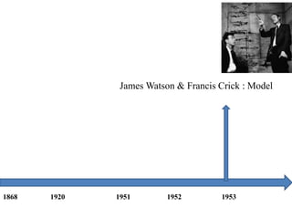 James Watson & Francis Crick : Model
1868 1920 1951 1952 1953
 