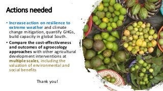 Towards an evidence-based approach to agroecology and climate change adaptation and mitigation in low- and middle-income countries: A rapid evidence review