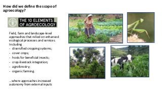 How did we define the scope of
agroecology?
Field, farm and landscape-level
approaches that relied on enhanced
ecological ...