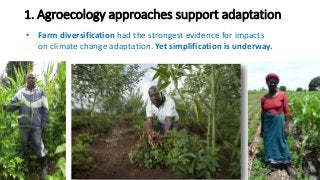 Towards an evidence-based approach to agroecology and climate change adaptation and mitigation in low- and middle-income countries: A rapid evidence review