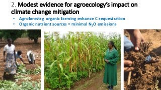 Towards an evidence-based approach to agroecology and climate change adaptation and mitigation in low- and middle-income countries: A rapid evidence review