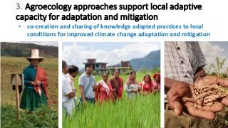 Towards an evidence-based approach to agroecology and climate change adaptation and mitigation in low- and middle-income countries: A rapid evidence review