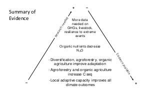 Towards an evidence-based approach to agroecology and climate change adaptation and mitigation in low- and middle-income countries: A rapid evidence review