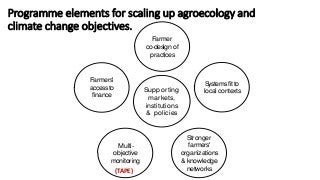 Towards an evidence-based approach to agroecology and climate change adaptation and mitigation in low- and middle-income countries: A rapid evidence review