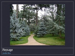 Paysage Jardin Bleu 
