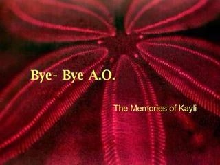 Bye- Bye A.O.   The Memories of Kayli  