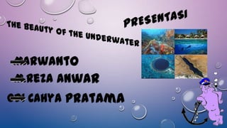 keindahan alam bawah laut