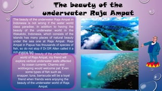 The beauty of the
underwater Raja Ampat
The beauty of the underwater Raja Ampat in
Indonesia is not wrong if the water world
class paradise. In addition to having the
beauty of the underwater world in the
Wakatobi, Indonesia, which consists of the
islands has many places of natural beauty
under the sea one at Raja Ampat. Raja
Ampat in Papua has thousands of species of
fish, so do not stop if Dr.GR Allen called it a
rich marine fish
Explore the beauty of the underwater
world of Raja Ampat, my friend will
explore vertical underwater walls affected
by ocean currents. Charms and
wobbegong would welcome pal. Even
some types of fish such as
snapper, tuna, barracuda will be a loyal
friend when friends were enjoying the
beauty of the underwater world of Raja
Ampat.
 