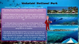 Wakatobi National Park
Wakatobi National Park in Southeast Sulawesi is proof that
Indonesia has a beautiful underwater so fascinating . Wakatobi is
one of the many beautiful underwater paradise in Indonesia .
Wakatobi National Park is one of 50 national parks in Indonesia
, which is located in the district of Wakatobi , Southeast Sulawesi .
This national park is set in 1996 , with a total area of ​​1.39 million
ha .
In this park there is a panoramic view of the beauty of the
underwater world that has 25 pieces of coral reefs . Coral reefs
can be found around 112 types of 13 families located on 25 points
along 600 km of coastline
Specifically Wakatobi National Park surrounded by beaches of
coral islands along the 600 km along the beach attractions with
huge potential to be managed , spread throughout the Wakatobi
region . So it was not without reason that the coastal region in the
Wakatobi very suitable for tourism such as diving , snorkeling
, swimming and fishing .
 