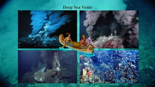 Deep Sea Vents
 