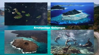 Archipelago Galapagos
 