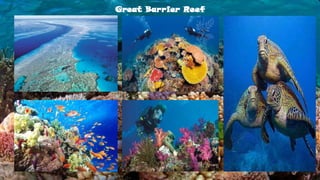 Great Barrier Reef
 