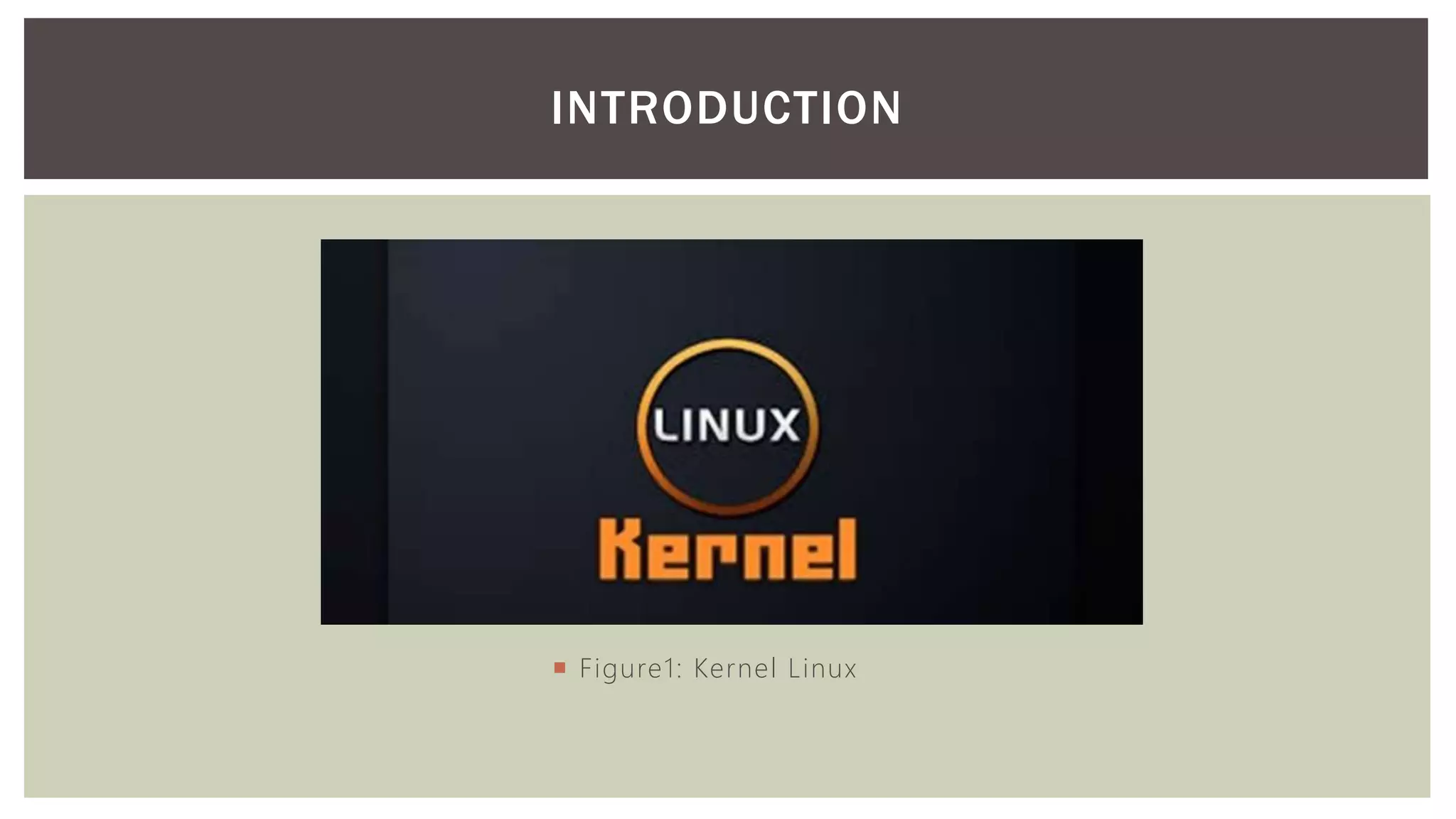 INTRODUCTION  Figure1: Kernel Linux 