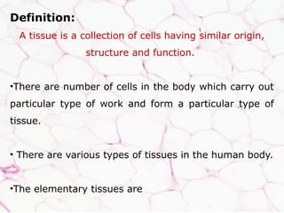 THE TISSUE a topic of Human Anatomy And Physiology | PPTX
