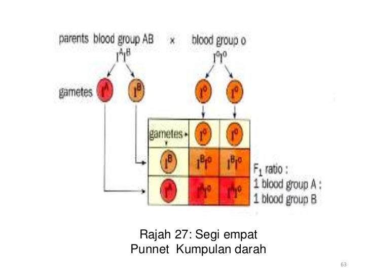 Genetik