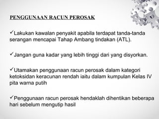 PENGGUNAAN RACUN PEROSAK
Lakukan kawalan penyakit apabila terdapat tanda-tanda
serangan mencapai Tahap Ambang tindakan (ATL).
Jangan guna kadar yang lebih tinggi dari yang disyorkan.
Utamakan penggunaan racun perosak dalam kategori
ketoksidan keracunan rendah iaitu dalam kumpulan Kelas IV
pita warna putih
Penggunaan racun perosak hendaklah dihentikan beberapa
hari sebelum mengutip hasil

 