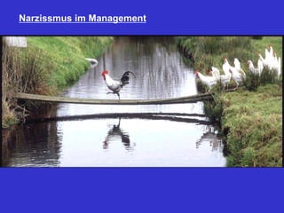 Narzissmus im Management
 