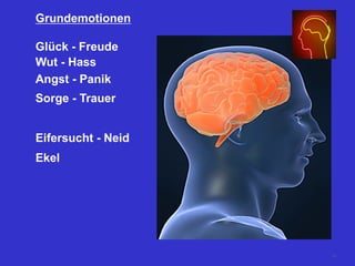 Grundemotionen
Glück - Freude
Wut - Hass
Angst - Panik
Sorge - Trauer
Eifersucht - Neid
Ekel
58
 