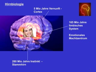 Hirnbiologie
280 Mio Jahre Instinkt -
Stammhirn
165 Mio Jahre
limbisches
System
Emotionales
Machtzentrum
5 Mio Jahre Vernunft -
Cortex
59
 