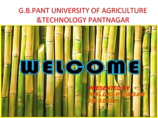 G.B.PANT UNIVERSITY OF AGRICULTURE
&TECHNOLOGY PANTNAGAR
PRESENTED BY
KULDEEP NAGAR
ID.52525
 